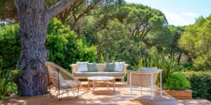 Collection WICKED -VINCENT SHEPPARD / BUXUS