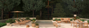 3D SITE WEB BUXUS
