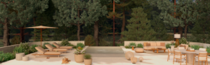 3D SITE WEB BUXUS